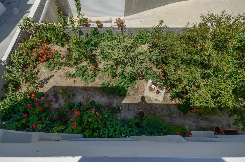 Margaritis Apartments Agia Anna  객실 사진